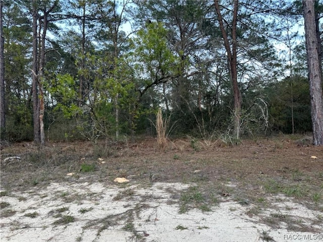 Listing photo 3 for 2706 Woodhill St, Inverness FL 34452