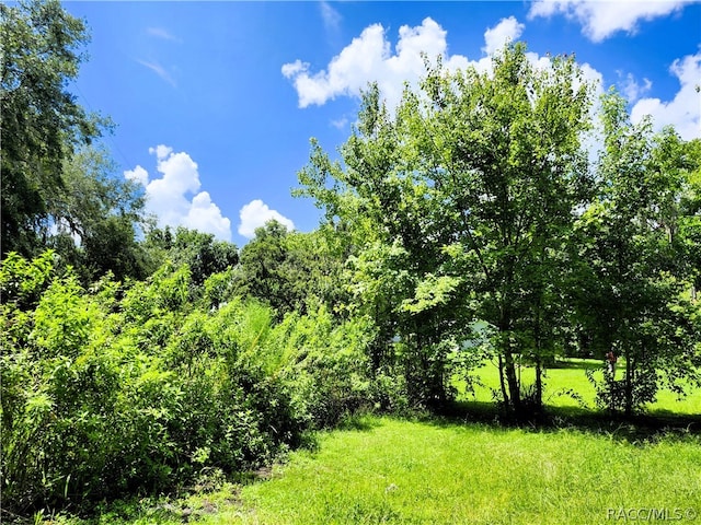 view of landscape