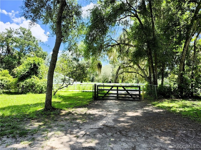 surrounding community featuring a yard