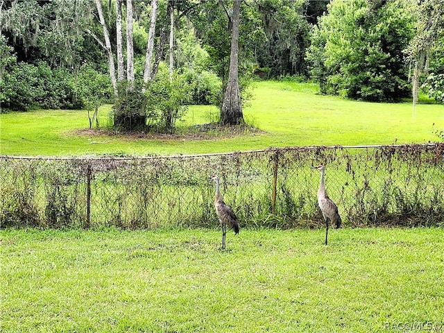 view of yard