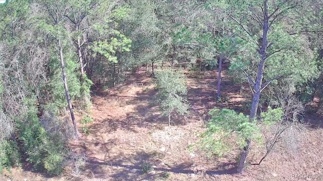 9155 N Alameda Dr, Citrus Springs, FL 34434 - photo 5