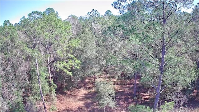 9155 N Alameda Dr, Citrus Springs, FL 34434 - photo 2