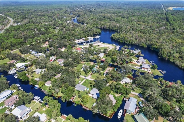 birds eye view of property with a forest view and a water view