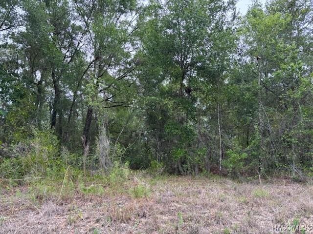 6717 E Gentry St, Inverness, FL 34452 - photo 3