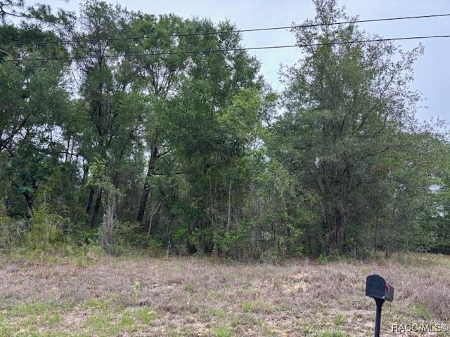 6717 E Gentry St, Inverness, FL 34452 - photo 6