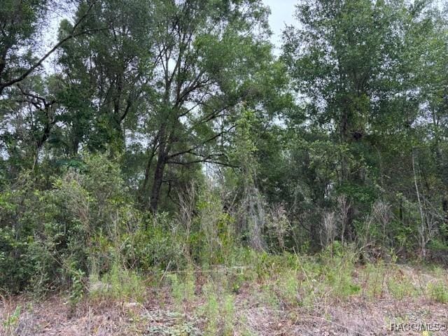 6717 E Gentry St, Inverness, FL 34452 - photo 2