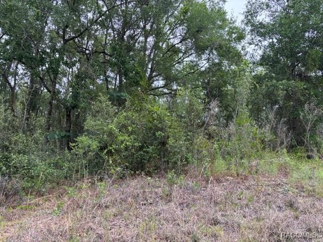 6717 E Gentry St, Inverness, FL 34452 - photo 1
