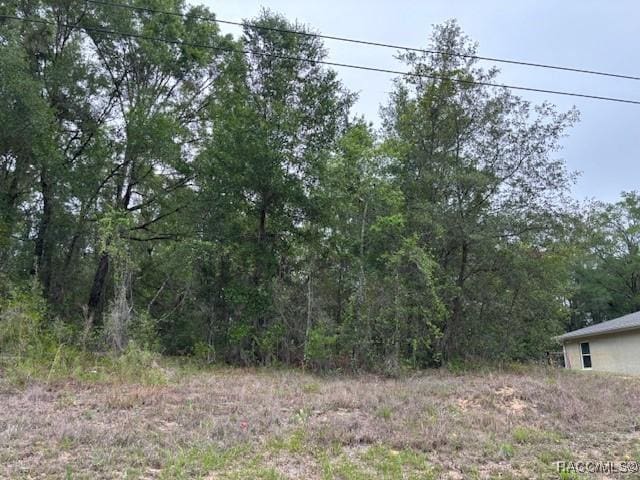 6717 E Gentry St, Inverness, FL 34452 - photo 5