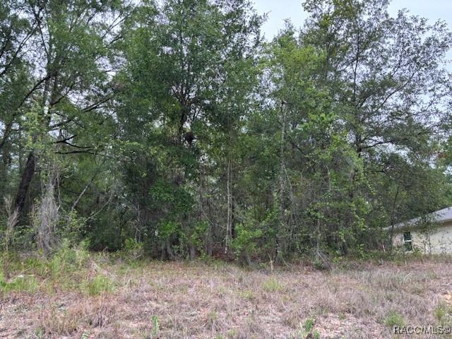 6717 E Gentry St, Inverness, FL 34452 - photo 4