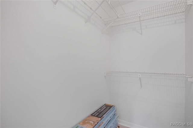 3410 N Bay Ave, Crystal River, FL 34428 - view of walk in closet