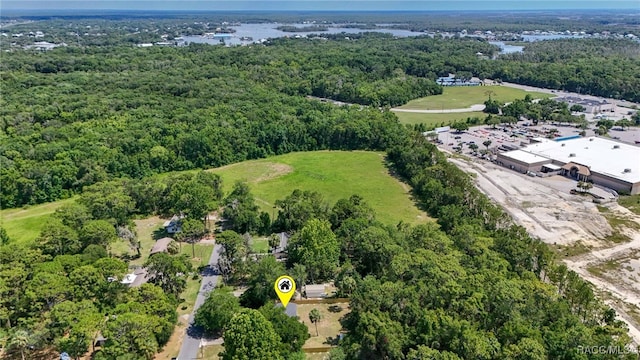 3410 N Bay Ave, Crystal River, FL 34428 - aerial view of a forest