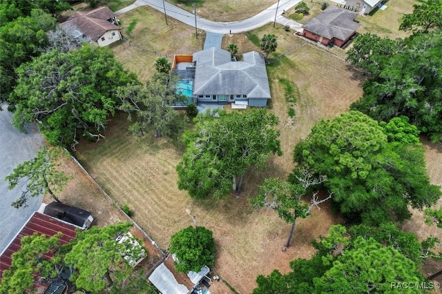 bird's eye view