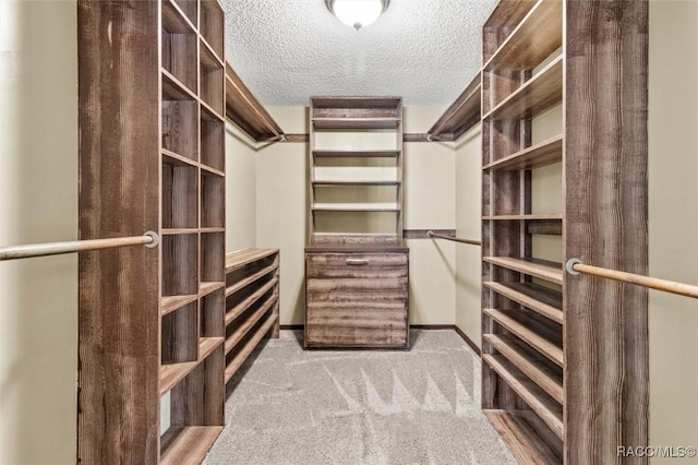 96 N Fresno Ave, Hernando, FL 34442 - spacious closet with carpet floors