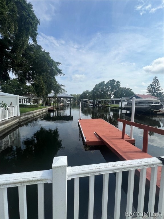 dock area with a water view