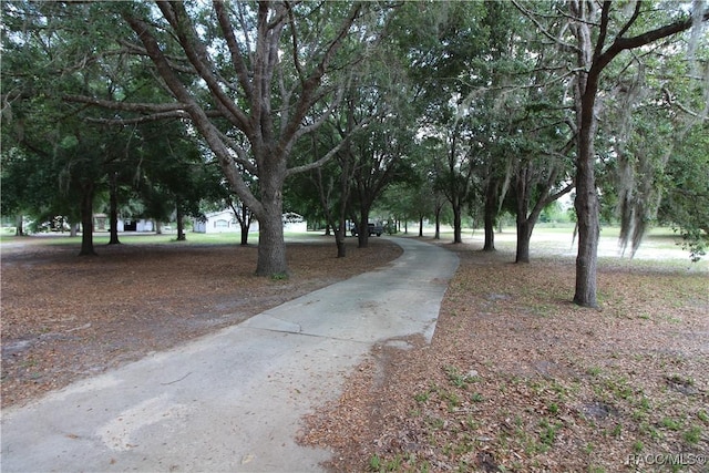 view of road