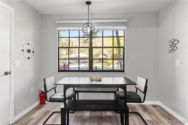 dining space featuring a healthy amount of sunlight, breakfast area, light wood-type flooring, and baseboards