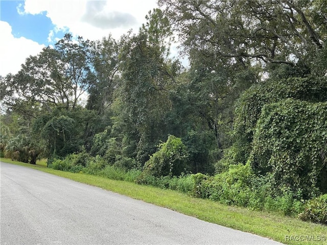 Listing photo 2 for 58 S Bauer Rd, Lecanto FL 34461