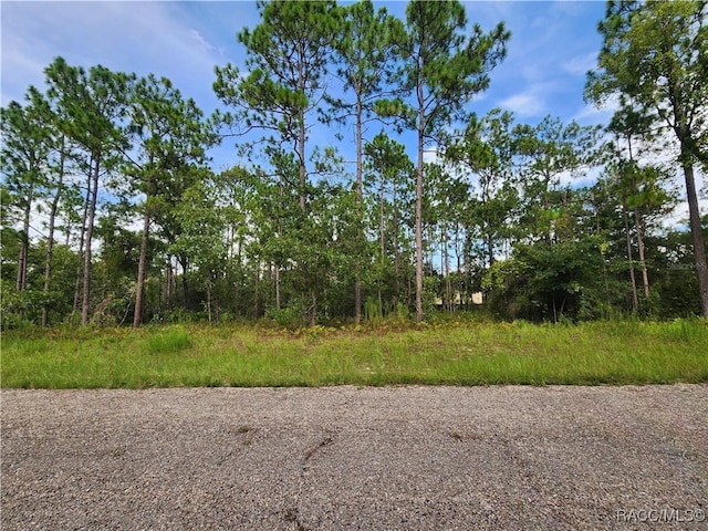 7441 N June Ter, Dunnellon FL, 34434 land for sale