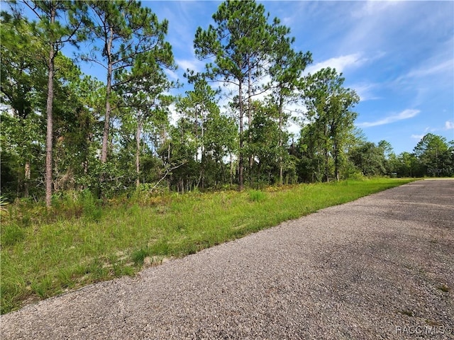 Listing photo 3 for 7441 N June Ter, Dunnellon FL 34434