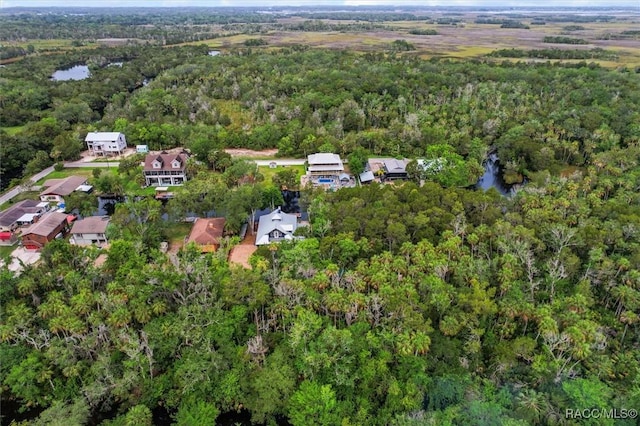 4428 S Cox Pt, Homosassa, FL 34448 - photo 39