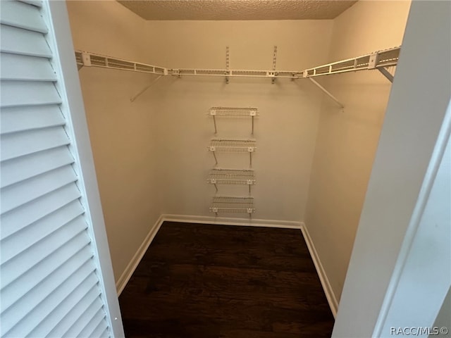 walk in closet featuring hardwood / wood-style floors