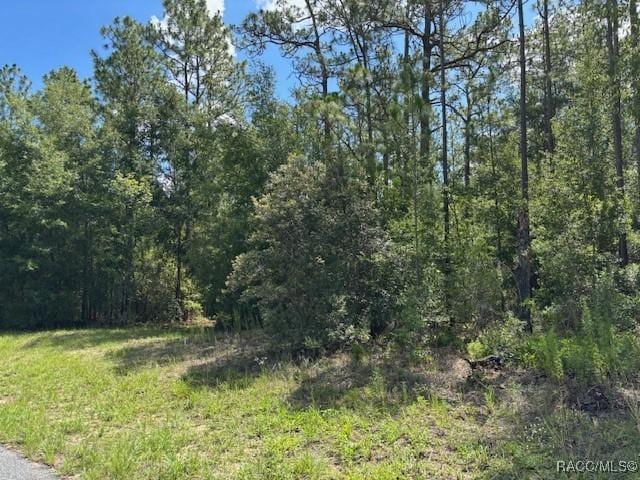 7861 N Valhalla Dr, Citrus Springs, FL 34434