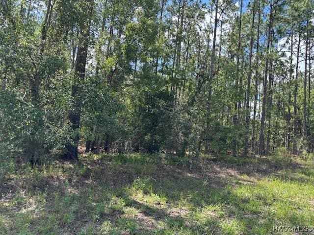 7861 N Valhalla Dr, Citrus Springs, FL 34434