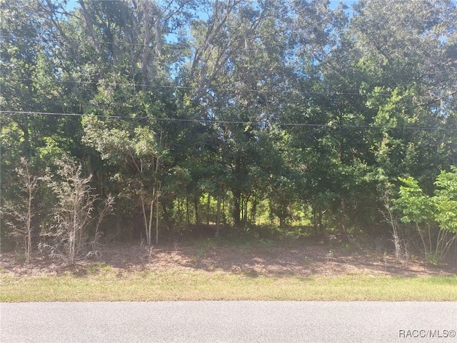 399 W Massachusetts St, Hernando FL, 34442 land for sale