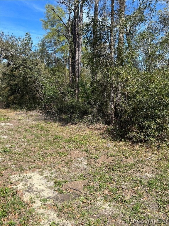 2101 W Most Ln, Citrus Springs FL, 34434 land for sale