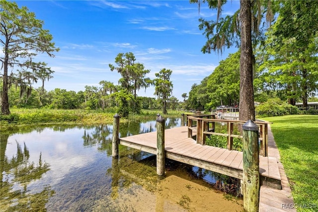 12139 Palmetto Way, Dunnellon, FL 34432 - dock with a water view and a yard