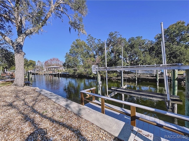 dock area with a water view