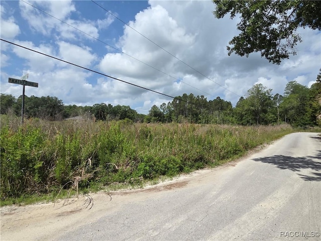 1146 N Jorie Ter, Crystal River, FL 34429 - photo 3