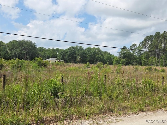 1146 N Jorie Ter, Crystal River, FL 34429 - photo 6