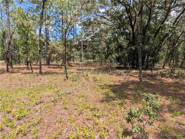 LOT25 NW Ridgewood Rd, Dunnellon, FL 34431 - photo 1