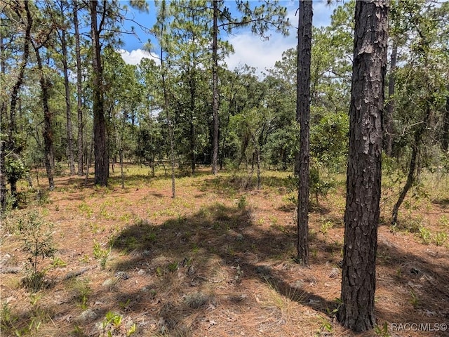 LOT25 NW Ridgewood Rd, Dunnellon, FL 34431 - photo 7