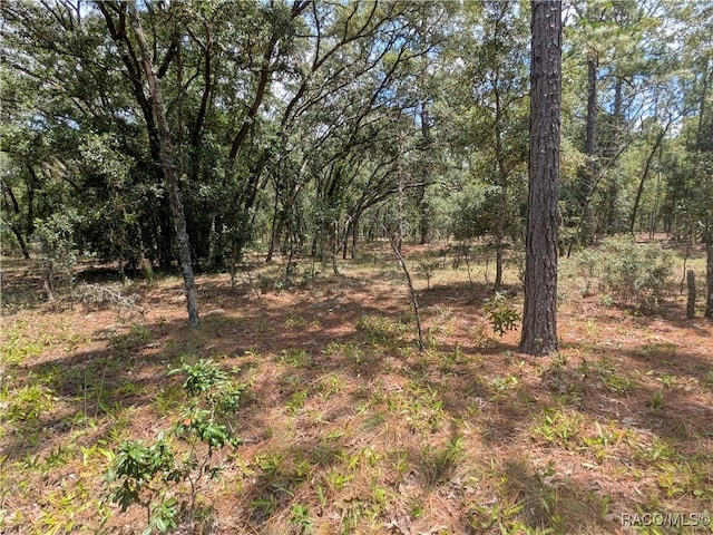 LOT25 NW Ridgewood Rd, Dunnellon, FL 34431 - photo 9