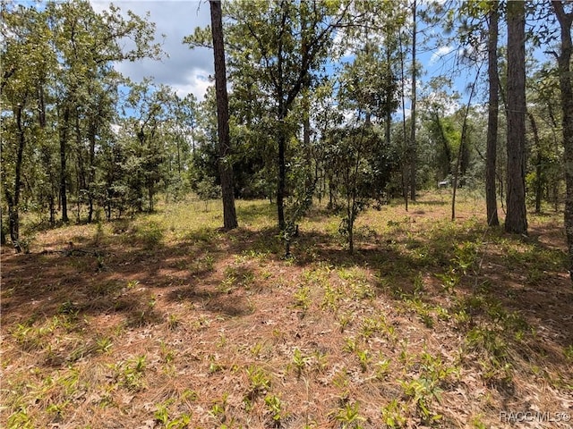 LOT25 NW Ridgewood Rd, Dunnellon, FL 34431 - photo 10