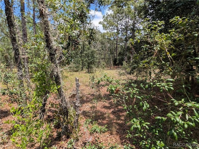 LOT25 NW Ridgewood Rd, Dunnellon, FL 34431 - photo 6