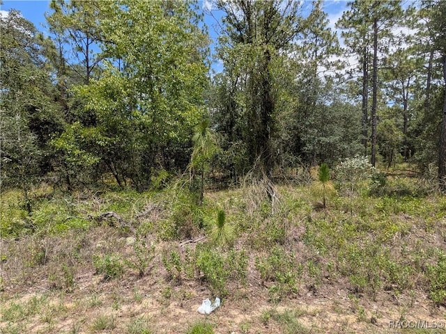 LOT25 NW Ridgewood Rd, Dunnellon, FL 34431 - photo 5