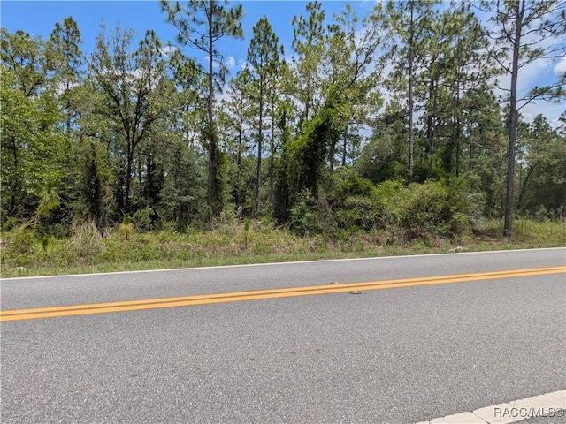 LOT25 NW Ridgewood Rd, Dunnellon, FL 34431 - photo 11
