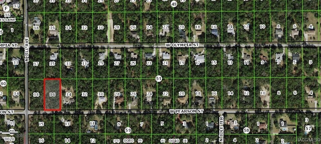 951 W Pearson St, Hernando FL, 34442 land for sale