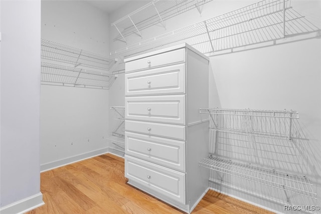 spacious closet featuring light wood-type flooring