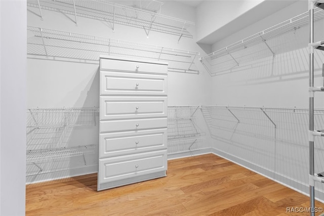 spacious closet featuring hardwood / wood-style floors