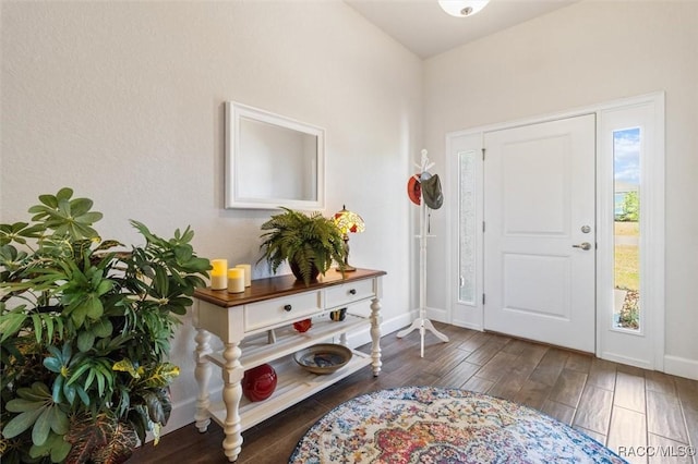 entrance foyer with baseboards and wood finished floors