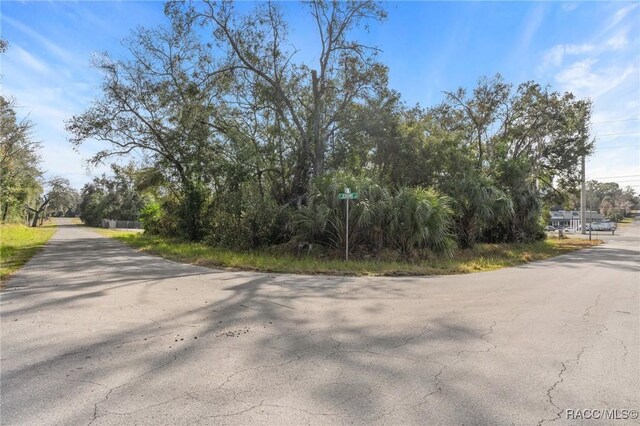 3413 E Gulf To Lake Hwy, Inverness, FL 34453 - photo 38