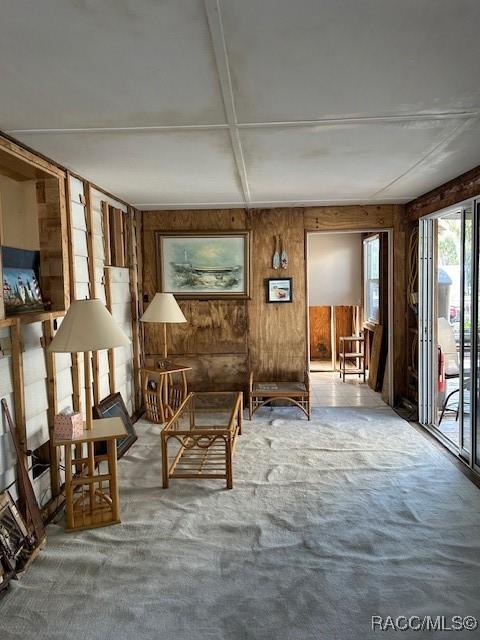 living area with wood walls