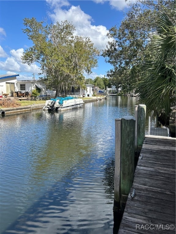 dock area with a water view