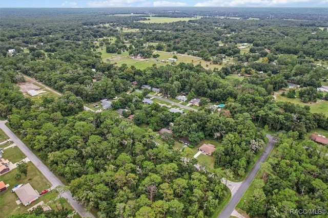 9780 W Tennessee Ln, Crystal River, FL 34428 - aerial view