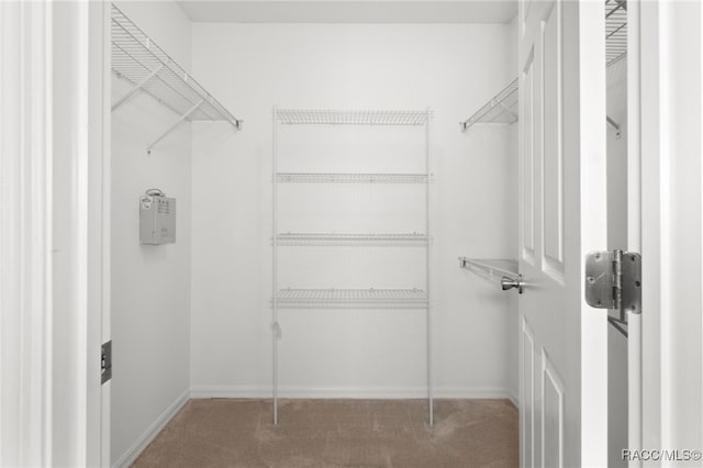 spacious closet with carpet flooring