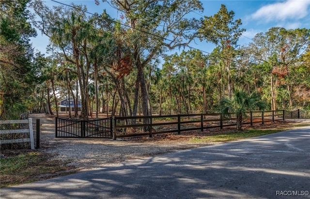 view of street with driveway and a gate